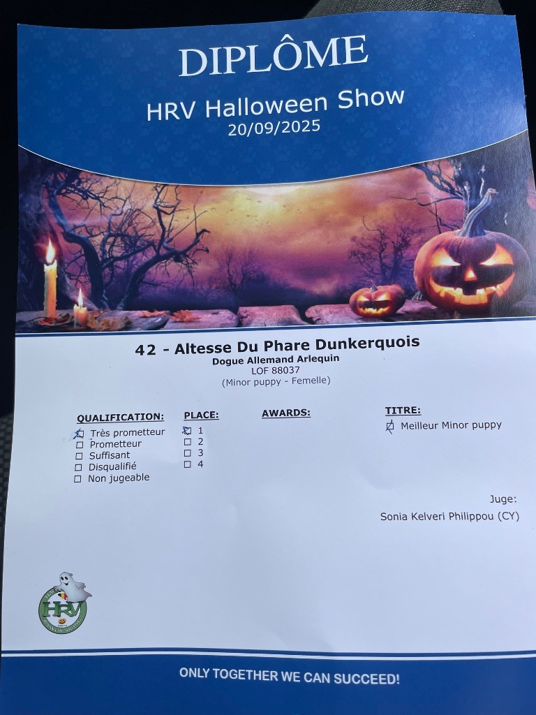 Altesse, 1er très prometteur, Best Puppy , Ring d honneur 
